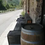 El Puente Peregrino *