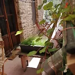 El Puente Peregrino