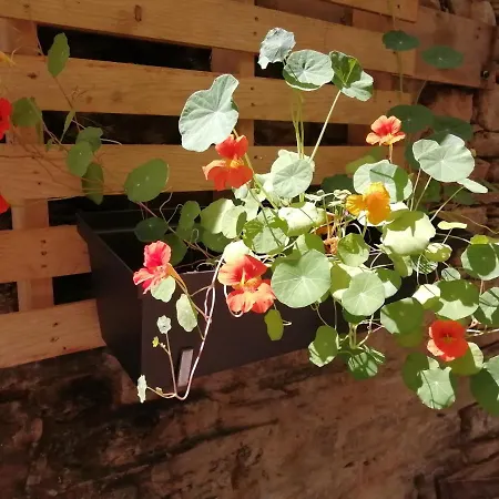 El Puente Peregrino Trabadelo