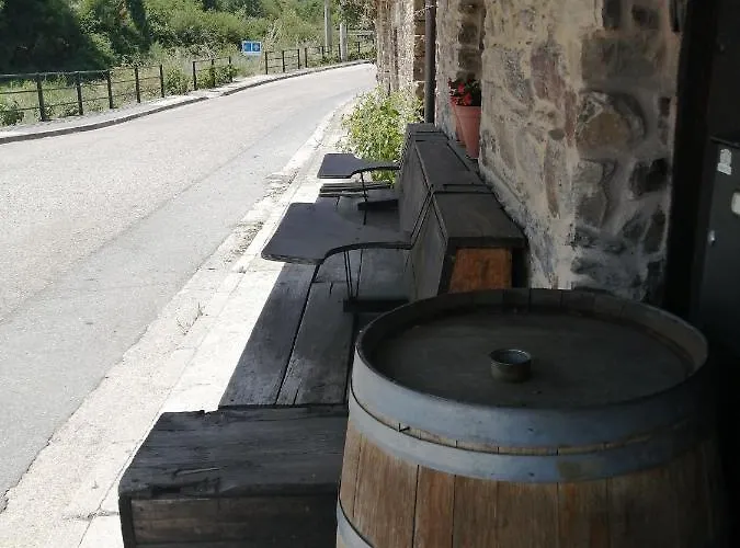 El Puente Peregrino *