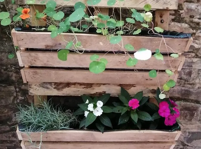 컨트리하우스 El Puente Peregrino Trabadelo