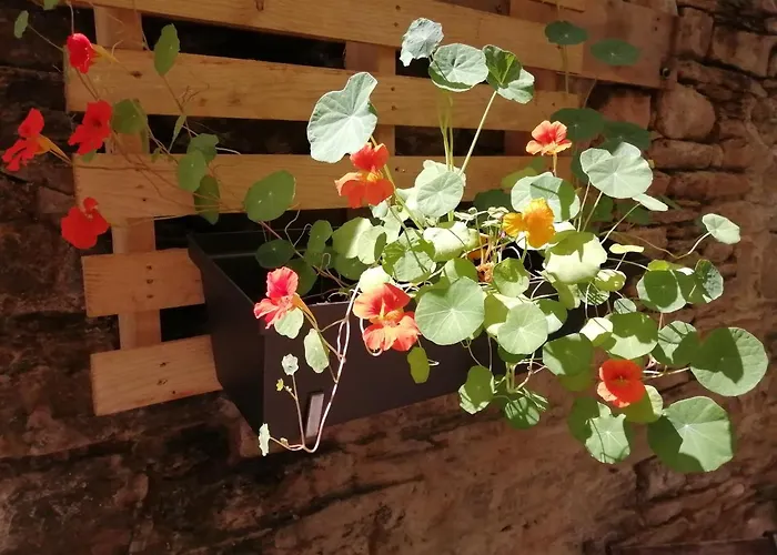 El Puente Peregrino Trabadelo